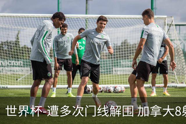 世界杯-遭多次门线解围 加拿大8射4正半场暂0-0南非