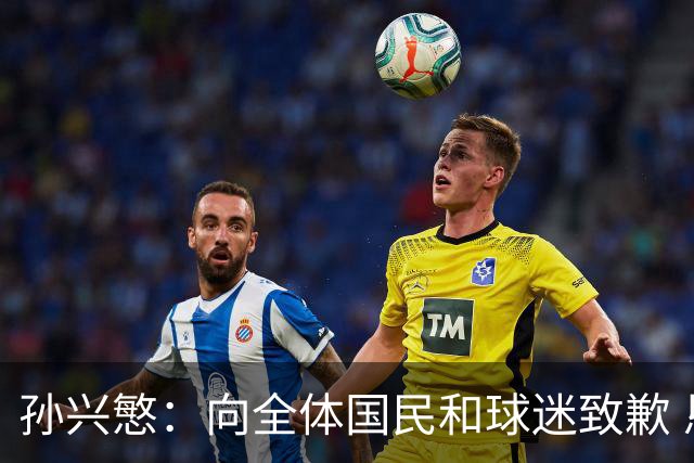 孙兴慜：向全体国民和球迷致歉 恳请少些过度批评伤害